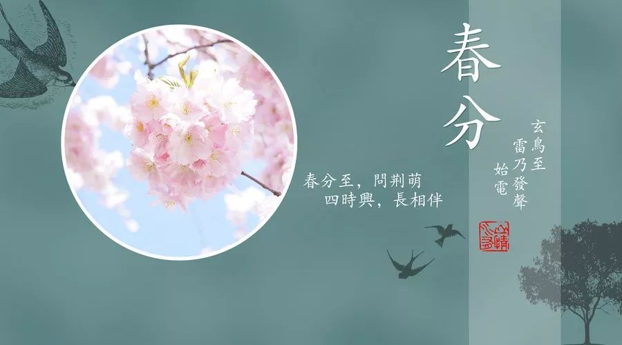 春分养好你的小心肝