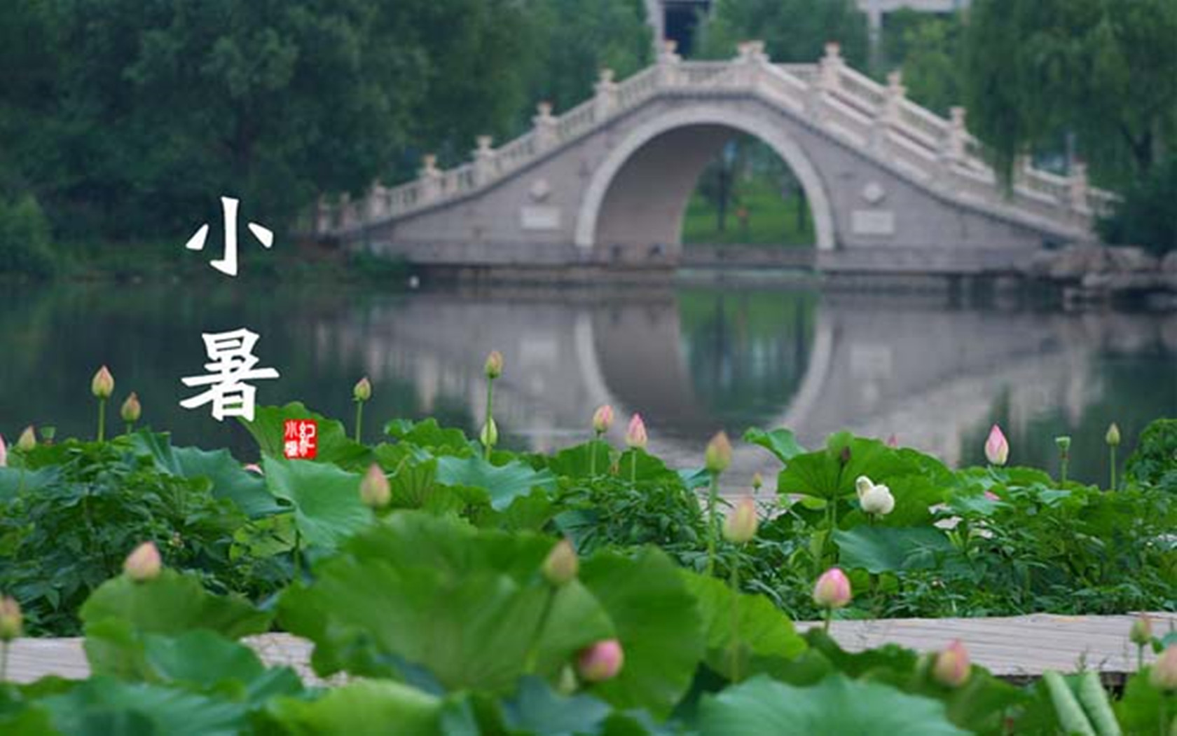 桑拿天来了，请注意！