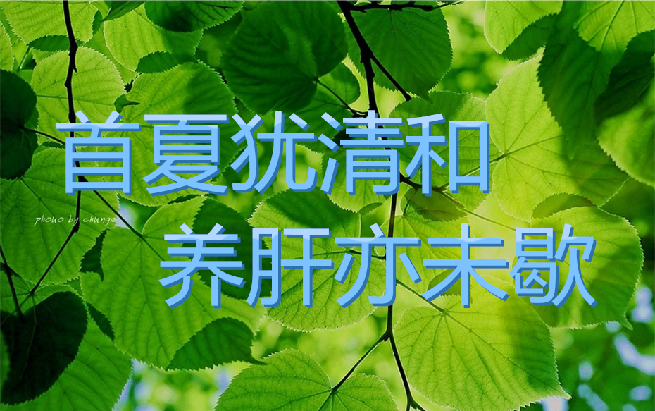 首夏犹清和 养肝亦未歇