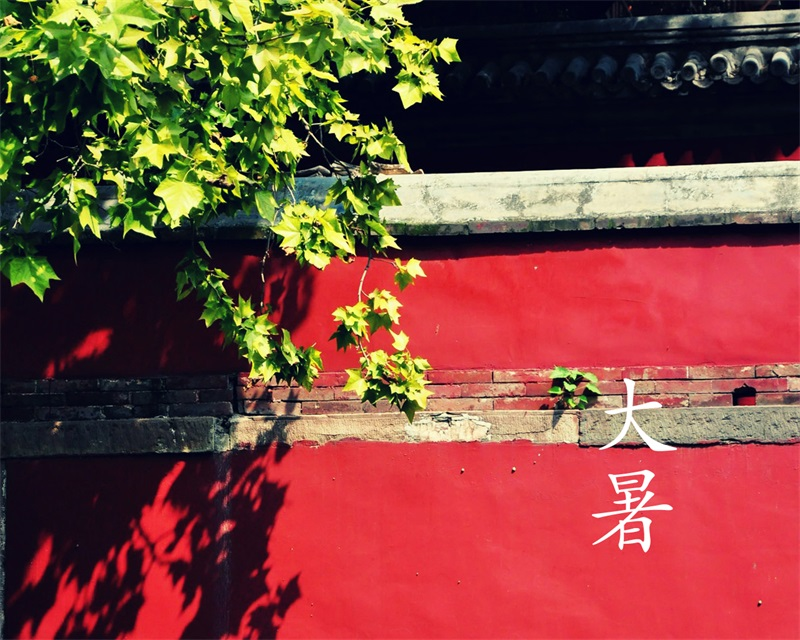 大暑时节：静以养心，动以养阳