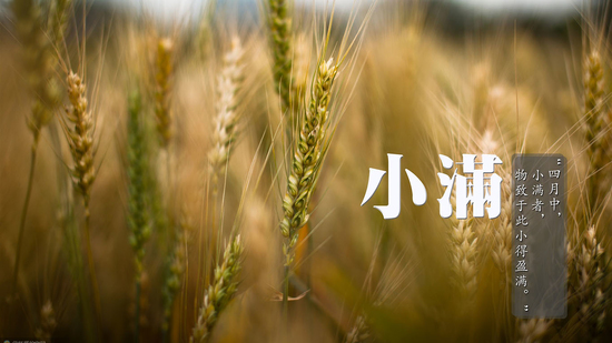 小满时节防湿邪入侵 注意保护身体阳气