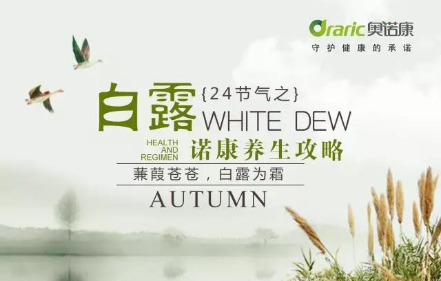 二十四节气养生：蒹葭苍苍，白露为霜