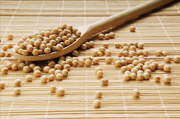 厉害了，我的豆！