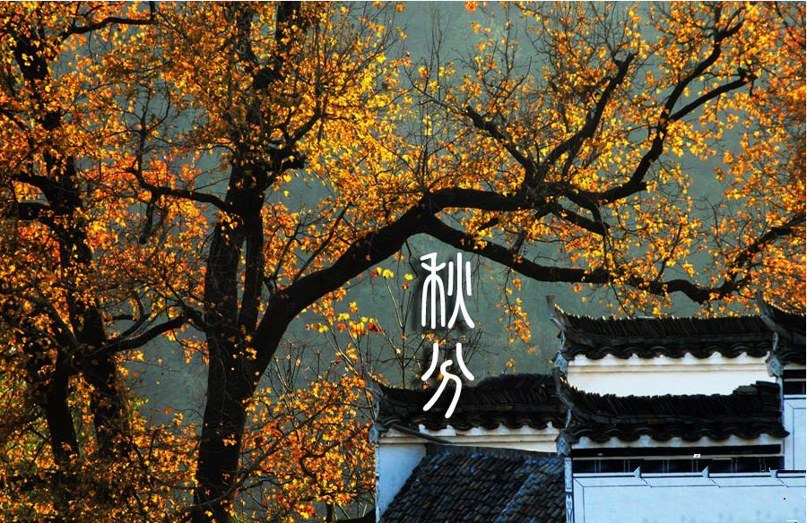 秋分：昼夜均寒暑平 “三秋”大忙正当时