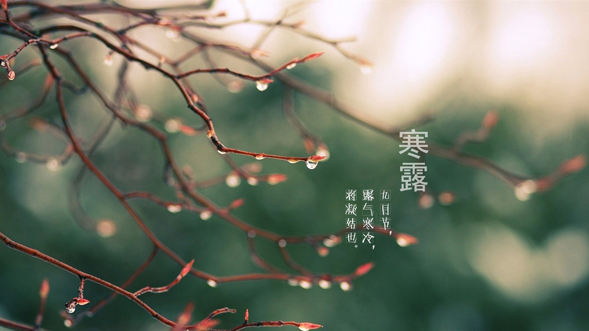 气温骤降 迎来“寒露”节气——秋高气爽 起居出行好养生