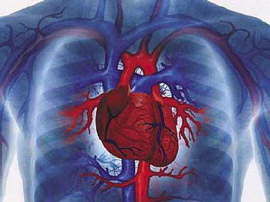 脂肪能降心血管病发生率？先别急！