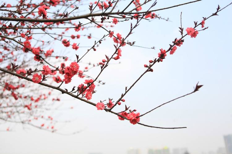 远离“三高”，春暖花开