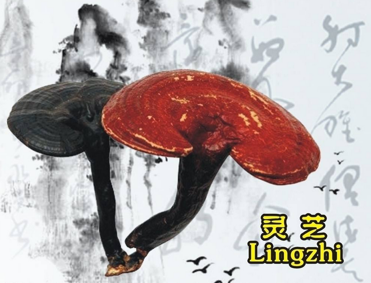 破后而立，晓喻新生！