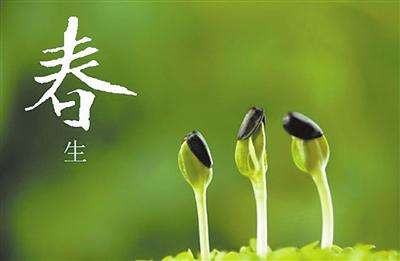 春季养肾好时节