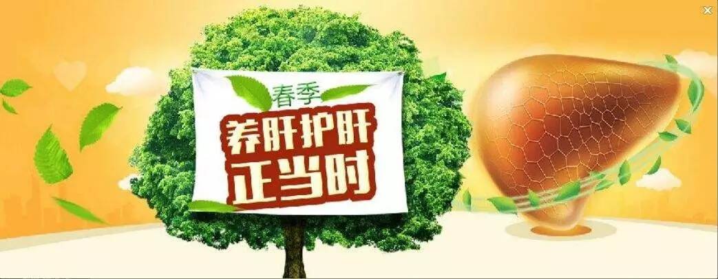 春季养肝正当时