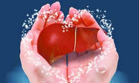 夏季肝脏要健康，调理方法很重要！