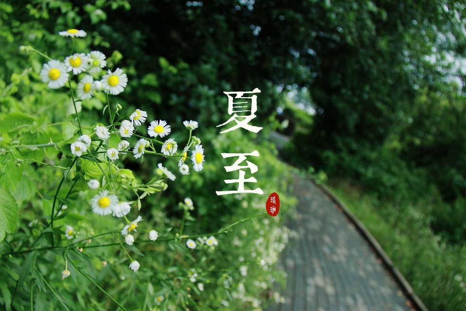 心若夏至，百病丛生